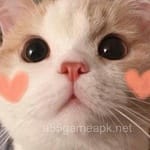 Avatar of Rida Zaman